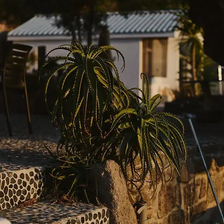 Sea Soon & 1 迈萨纳