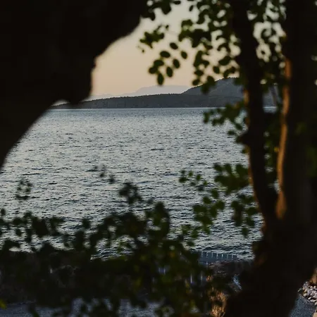 Sea Soon & 1
