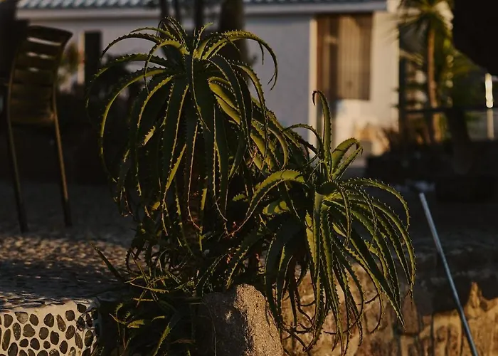 Sea Soon & 1 Μέθανα